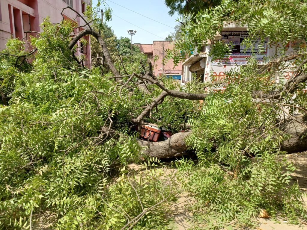 महिला की हत्या कर पुलिया के नीचे शव मिलने से क्षेत्र मे सनसनी हत्याकांड की घटना जंगल मे आग की तरह फैली चीफ़ ब्यूरो कमलेश पाण्डेय 8382048247 महिला की हत्या कर पुलिया के नीचे शव मिलने से क्षेत्र मे सनसनी हत्याकांड की घटना जंगल मे आग की तरह फैली चीफ़ ब्यूरो कमलेश पाण्डेय 8382048247
