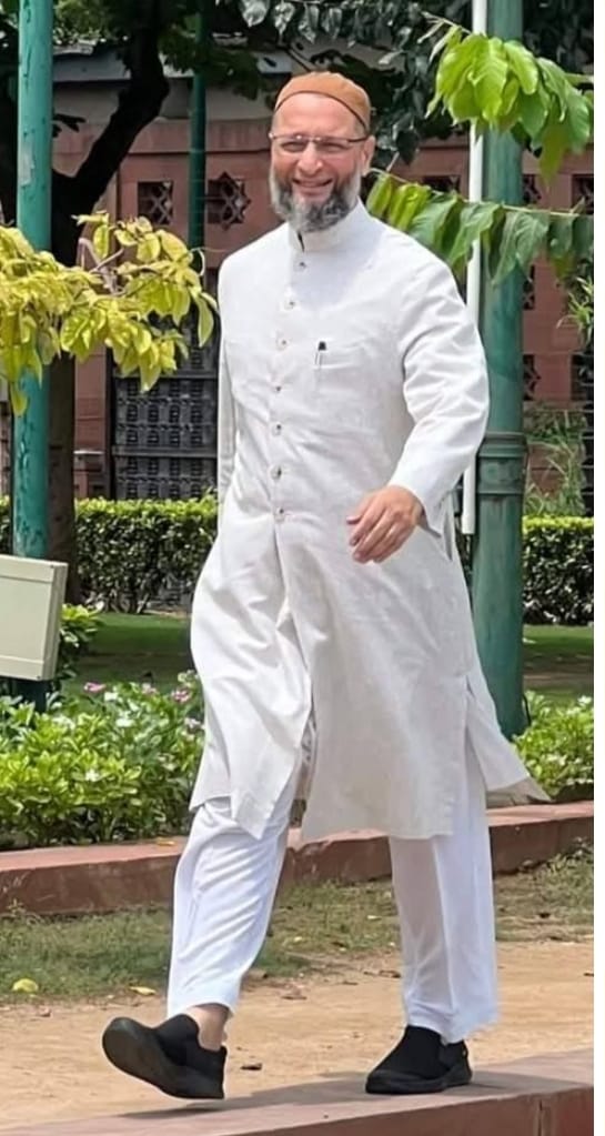 दिल्ली में औवेसी की पार्टी भी लड़ेगी चुनाव दिल्ली में औवेसी की पार्टी भी लड़ेगी चुनाव
