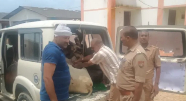 स्कॉर्पियो में गोवंश की तस्करी , पुलिस ने पकड़ा स्कॉर्पियो में गोवंश की तस्करी , पुलिस ने पकड़ा