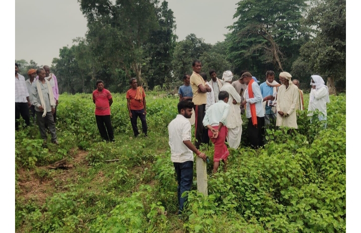 धान की फसल में अज्ञात व्यक्ति *द्वारा खरपतवार नाशक दवा डालकर लगभग छः कट्ठा में धान की फसल को जलाकर किया खाक