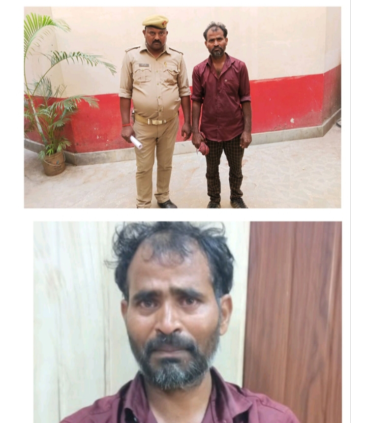 थाना रॉबर्ट्सगंज पुलिस द्वारा 02 राशि गोवंश बरामद कर एक नफर अभियुक्त को किया गया गिरफ्तार