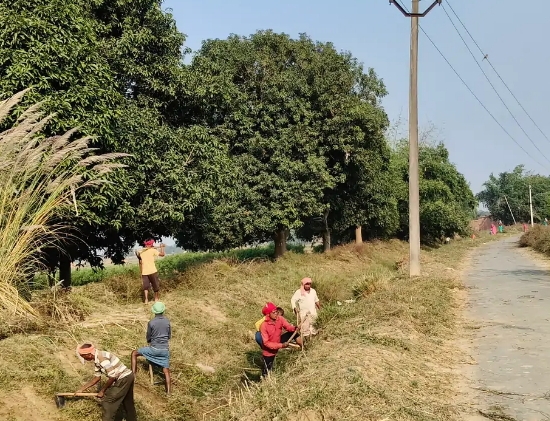 पहाड़ी ब्लॉक में नहरों की सफाई शुरू: गेहूं की सिंचाई के लिए, किसान बोले- हर साल पानी नहीं पहुंचता