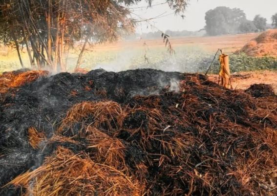 मडिहान खलिहान में रखा धान का फसल जलाः संतनगर के गेरूआही गांव में लाखों का नुकसान