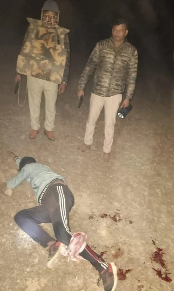 मिर्जापुर मड़िहान–राजगढ़ पुलिस की बड़ी कार्रवाई, मुठभेड़ में एक गो-तस्कर घायल गिरफ्तार, 13 गोवंश बरामद
