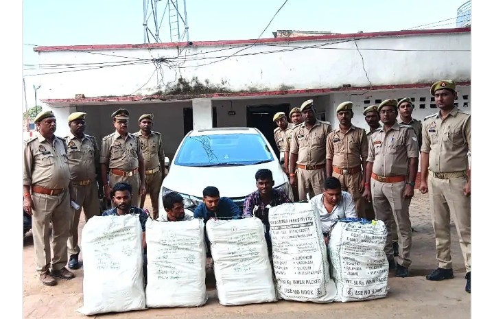 50 लाख का गांजा बरामद, 5 अंतरजनपदीय तस्कर गिरफ्तार 