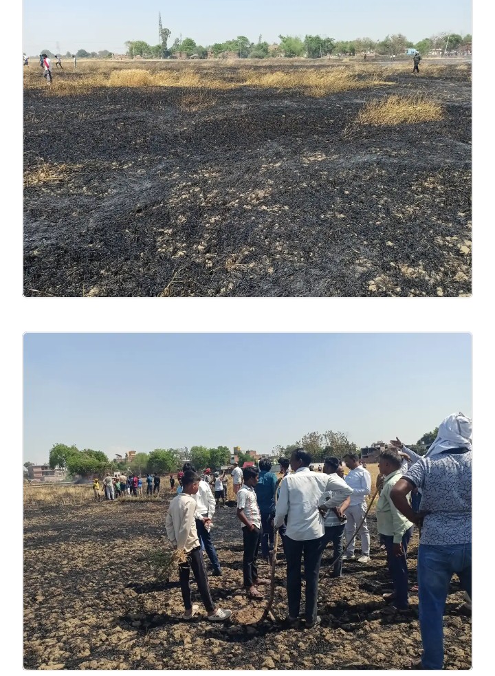 संदिग्ध आग से तबाही: सतुहार सिवान में 10 बीघा गेहूं की फसल जलकर खाक