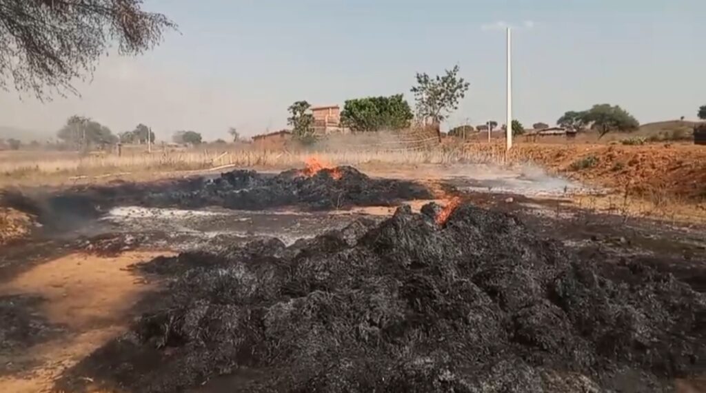 खलिहान में भीषण आग: छह बीघा की फसल जलकर राख, किसान को भारी नुकसान