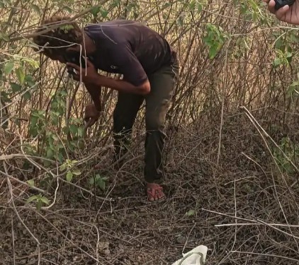 म्योरपुर में 12 वर्षीय किशोरी की हत्या से सनसनी, खेत की मेढ़ पर मिला खून से लथपथ शव
