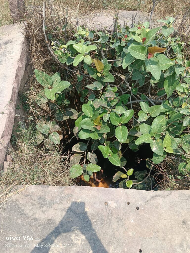 मिर्जापुर: मायके आई महिला लापता, तलाश के बीच कुएं में मिला शव — परिजनों में मचा कोहराम