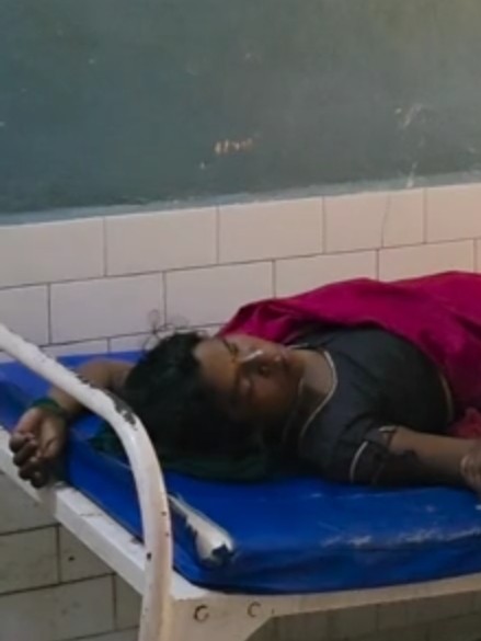 बाल्टी में छिपे करैत का हमला: पानी निकालते समय महिला को डसा, हालत गंभीर