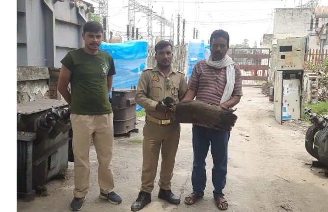 जिगना के 132 केवी सब स्टेशन में करंट से राष्ट्रीय पक्षी मोर की मौत, तिरंगे में लपेटकर पूरे सम्मान के साथ किया गया अंतिम संस्कार जिगना के 132 केवी सब स्टेशन में करंट से राष्ट्रीय पक्षी मोर की मौत, तिरंगे में लपेटकर पूरे सम्मान के साथ किया गया अंतिम संस्कार