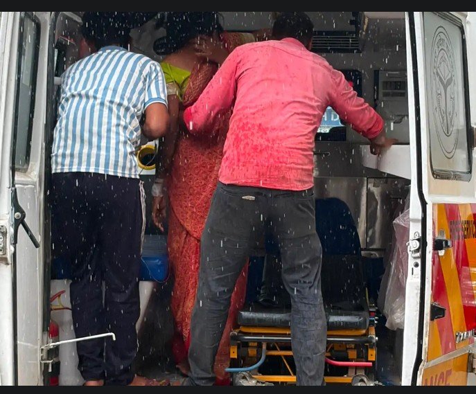 खेत में काम कर रही महिला को विषैले सर्प ने डसा, हालत गंभीर