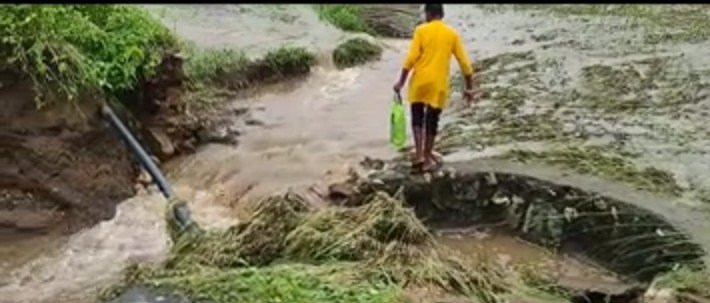 बीजपुर में मूसलाधार बारिश से जनजीवन अस्त-व्यस्त, दर्जनों पुलिया और बांध टूटे; कई गांवों का संपर्क टूटा 