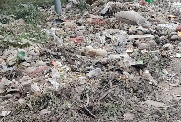 बारिश में सड़ते कूड़े से फैली दुर्गंध, मुंहकोचवा इलाके के लोग परेशान 