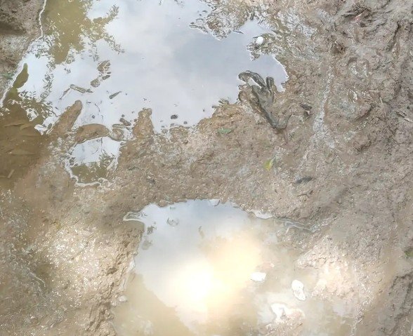 गड़ोरा गांव की बदहाल सड़क का वीडियो सोशल मीडिया पर वायरल, ग्रामीणों ने की जल्द सड़क निर्माण की मांग